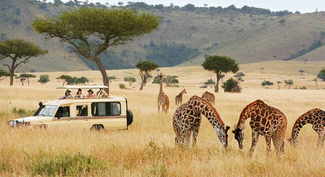 Best of East Africa Safaris 4×4 (Luxury)