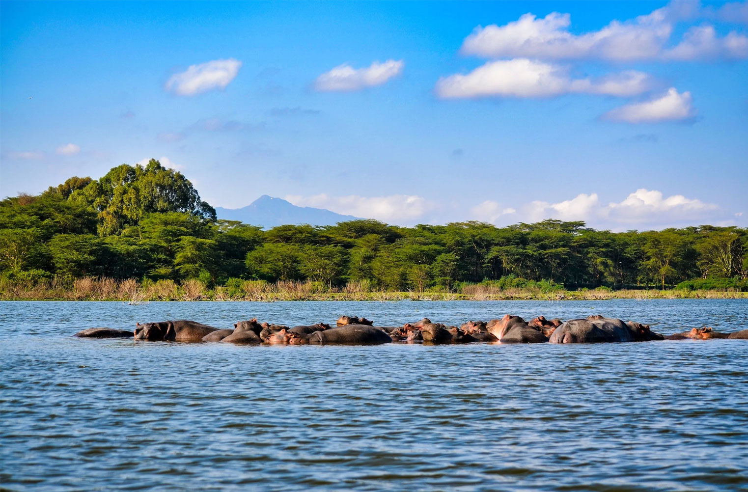 Selous & Beach Honeymoon Safaris