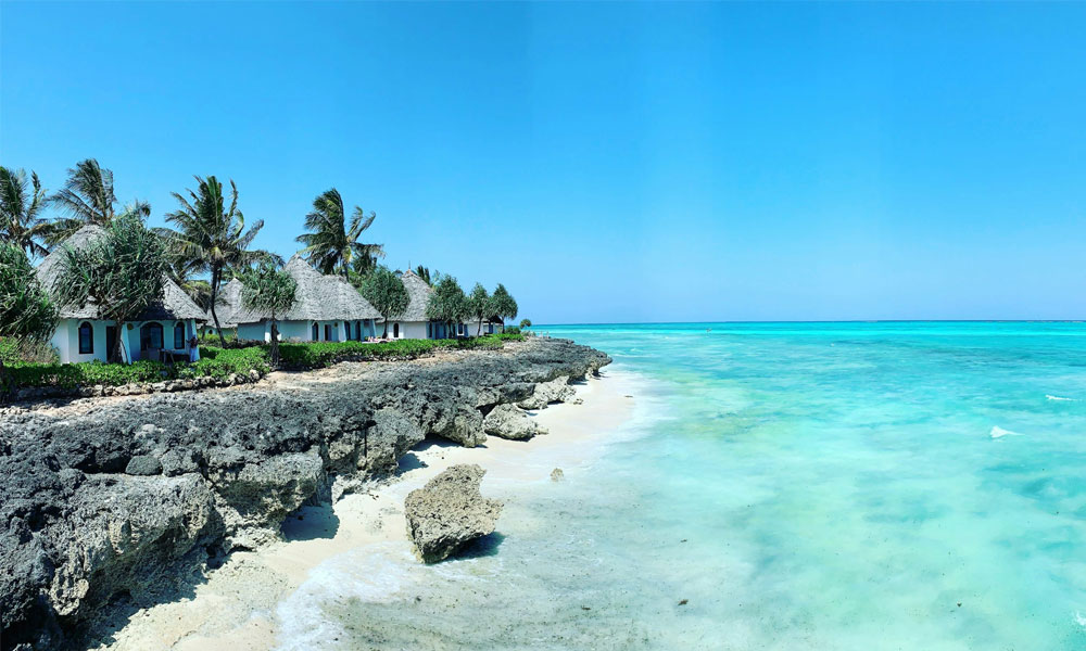 Tanzania Ruaha & Zanzibar Luxury Experience